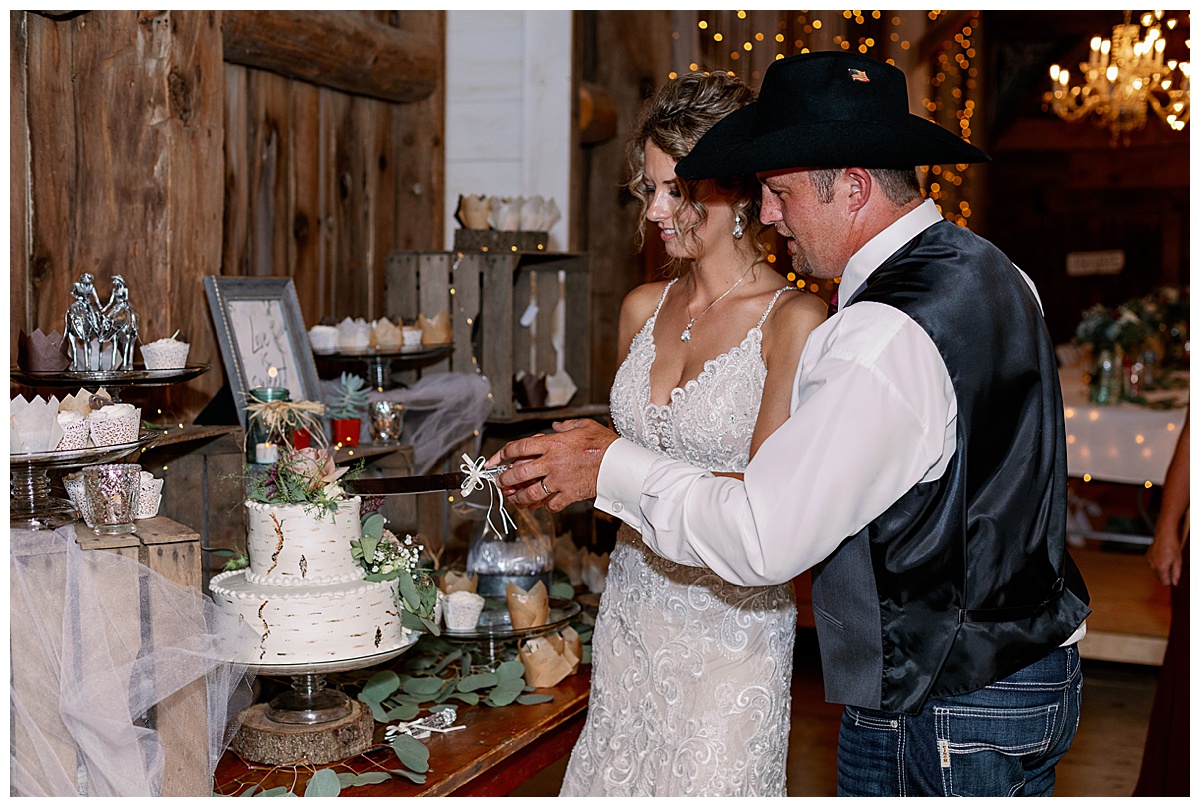 Newlyweds cut the cake at wedding